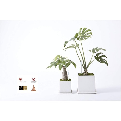 サスティー リフィル シングルパック