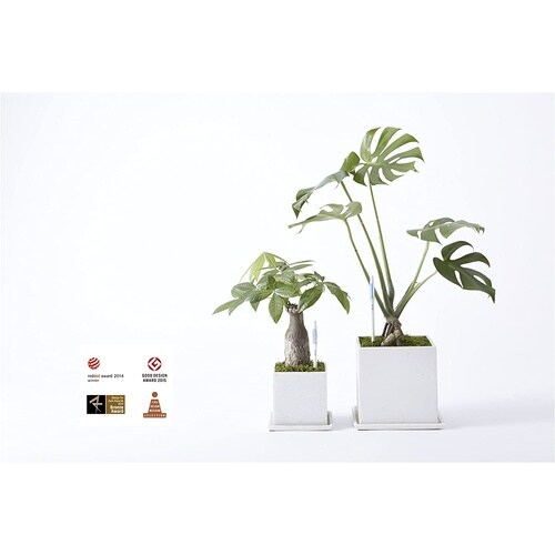 サスティー リフィル シングルパック