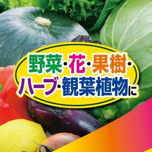 �J�_�����|�ł܂���