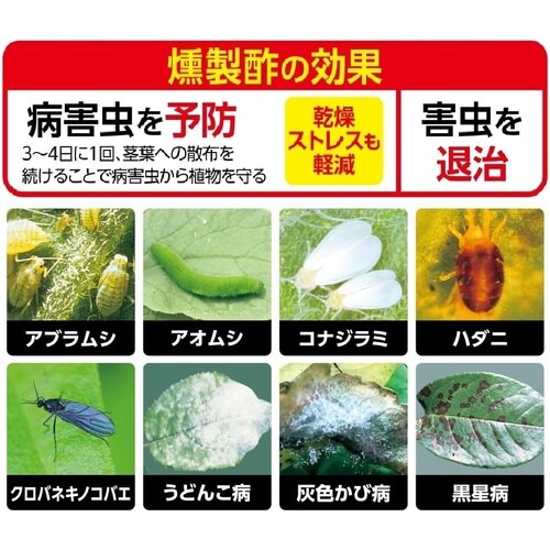 �J�_�����|�ł܂���