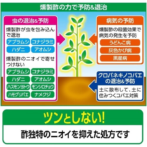 �J�_�����|�ł܂���