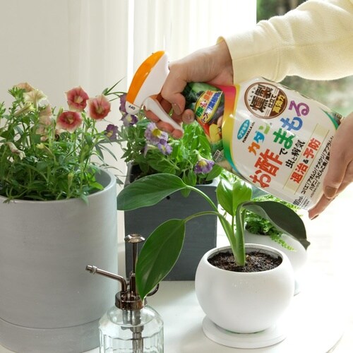 �J�_�����|�ł܂���