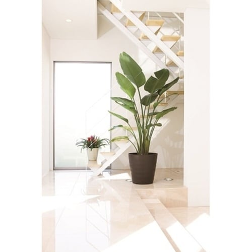 フレグラーポット