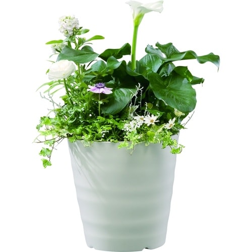 フレグラーポット