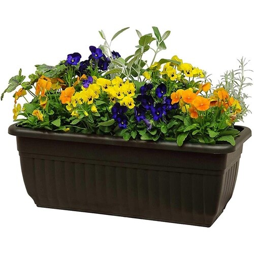 �m�a�v�����^�[