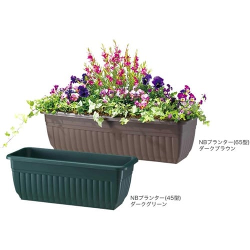 �m�a�v�����^�[