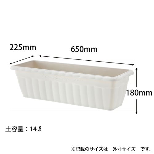 クイーンプランター