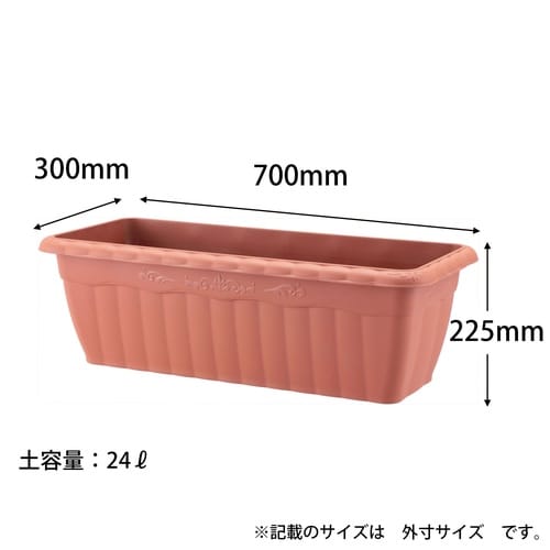 クイーンプランター