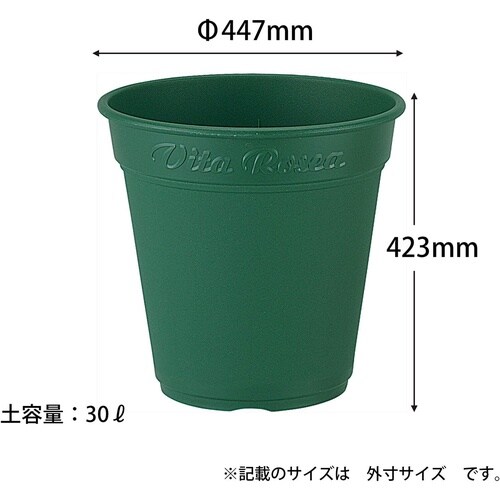 ロゼアポット グリーン