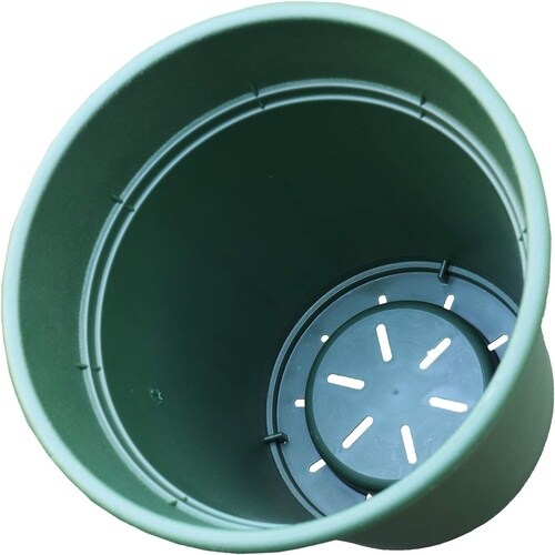 ロゼアポット グリーン