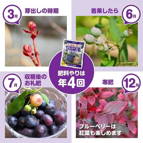 ブルーベリーの肥料