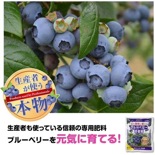 ブルーベリーの肥料