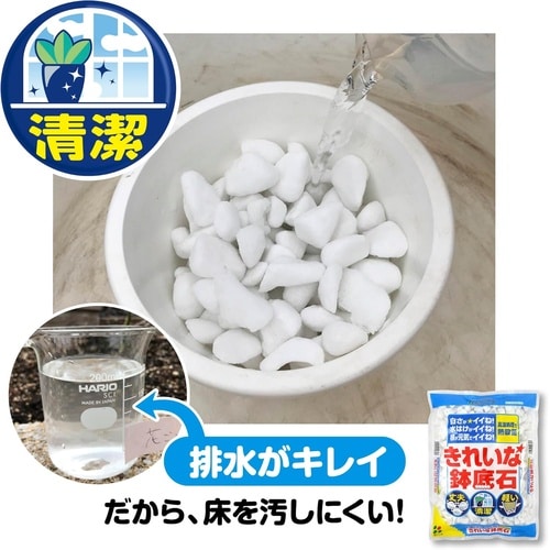 きれいな鉢底石