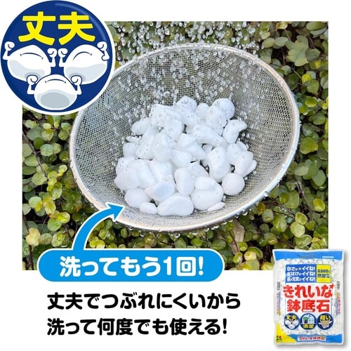 きれいな鉢底石