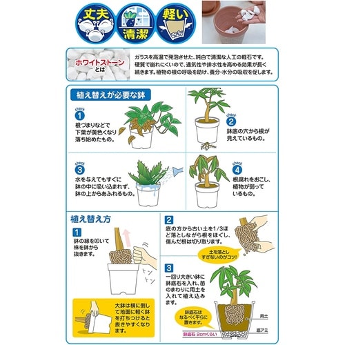 きれいな鉢底石