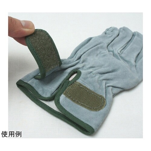 �����v��܁@�I�C�����H�@�}�W�b�N�e�[�v�@�`�f�V���[�Y