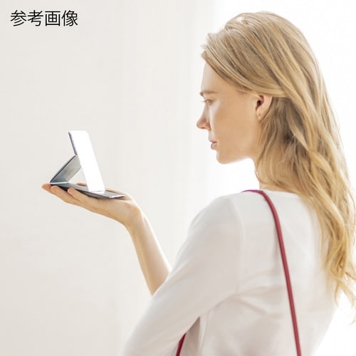 プロモデル折立ナピュアミラーシリーズ