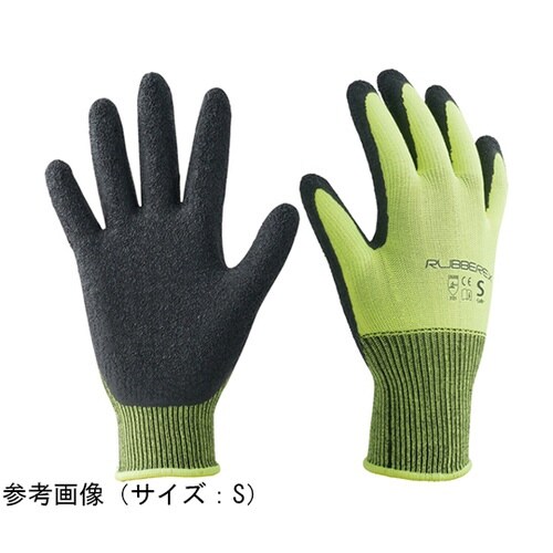 ����n���q�@�V�R�S���w������܁@���o�[���b�N�X�@�`�f�V���[�Y