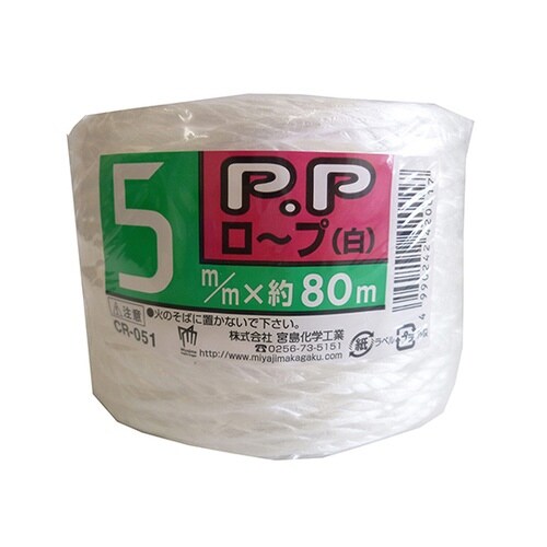 �o�o���[�v�@�T�����~�W�O���@�b�q�V���[�Y