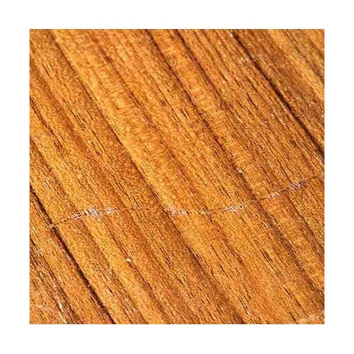 �������_�u���X�^�[�p�b�N�P�F�@�U���@�`�a�V���[�Y