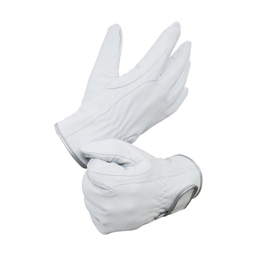 �R�r�N���X�g�@�}�W�b�N�@�A�e�t�@�`�f�O�S�P�V���[�Y