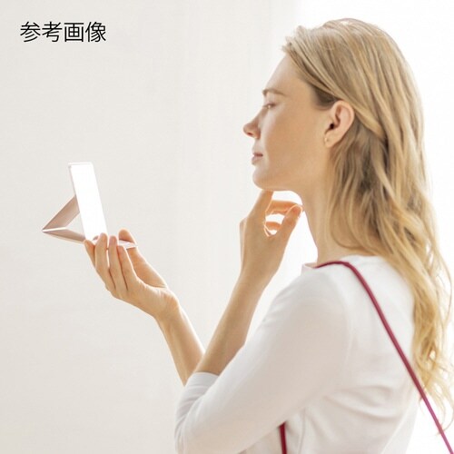 プロモデル折立ナピュアミラーシリーズ