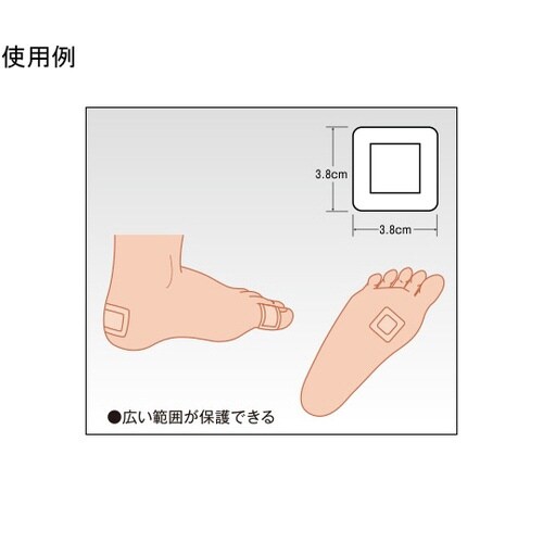 �\���{�o��