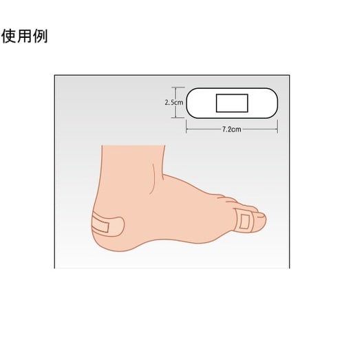 �\���{�o��