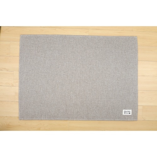 �g�C���̉��ɕ~���}�b�g�k