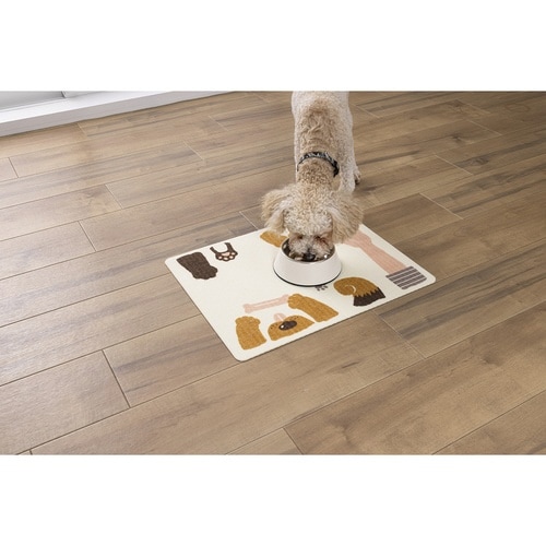 �����`�����}�b�g�@���������z��