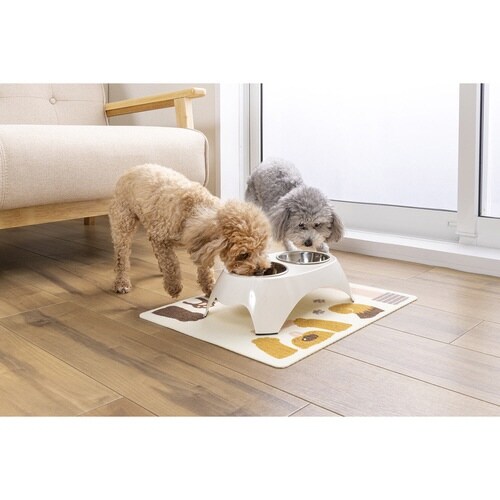 �����`�����}�b�g�@���������z��