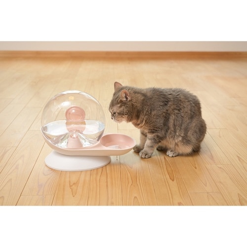 ������@�����ނ�^������