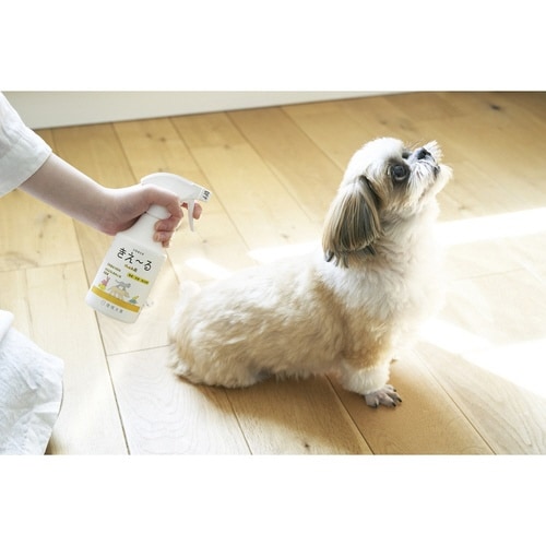 ���L�܁@���������@�y�b�g