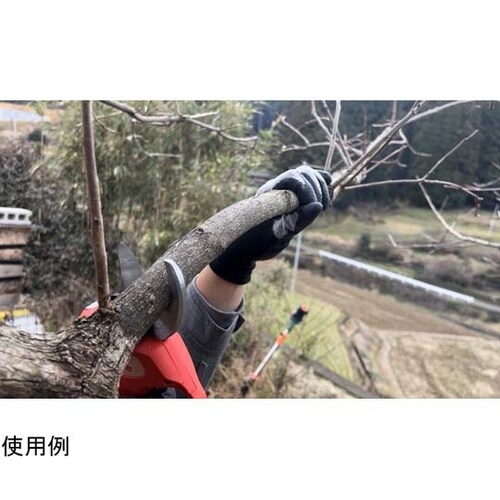 ���}�؂����Y