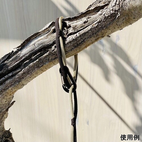 �n���M���O�K�C���[�v