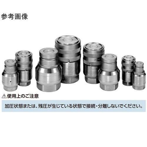 �e�e�J�v���i�v���O�j����|