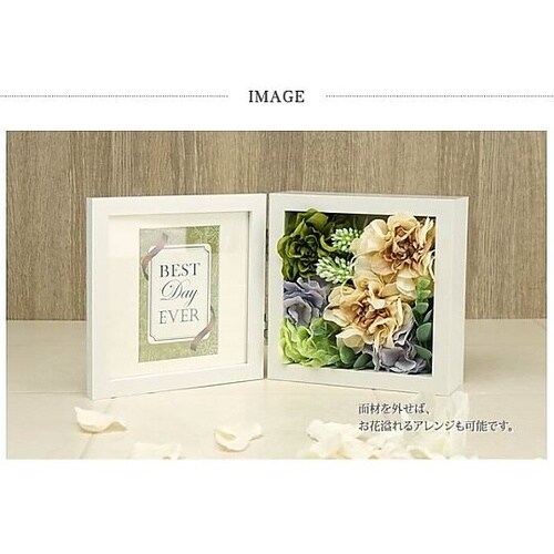 �u�@�a�n�w�t���[���@�c�U�O