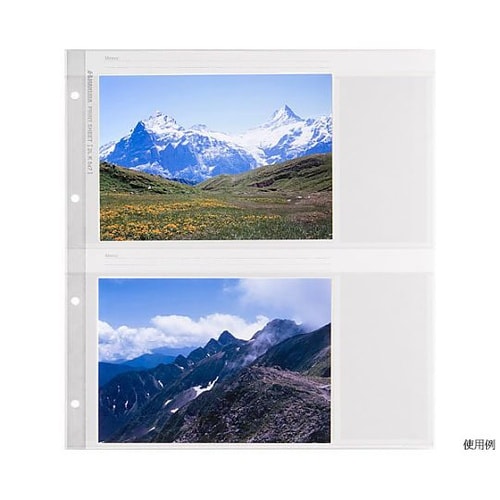 ���|�[�g�A���o���@�֑䎆