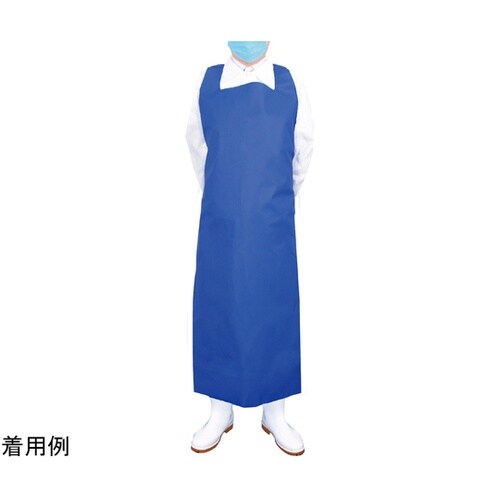 �R�ۃo���J���G�v����