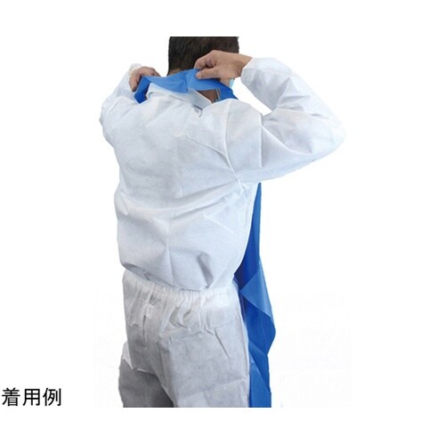 �R�ۃo���J���G�v����