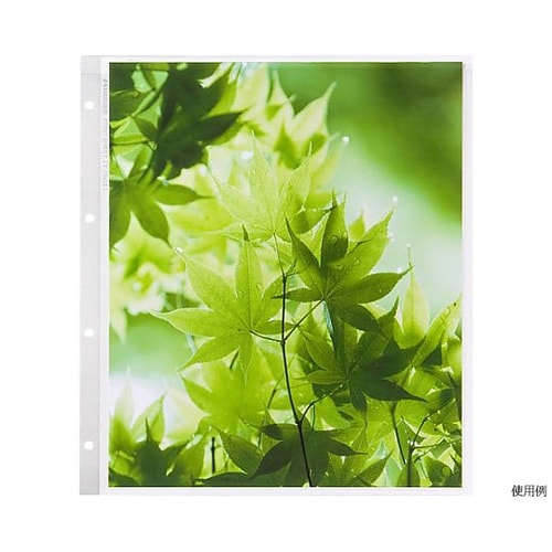 ���|�[�g�A���o���@�֑䎆