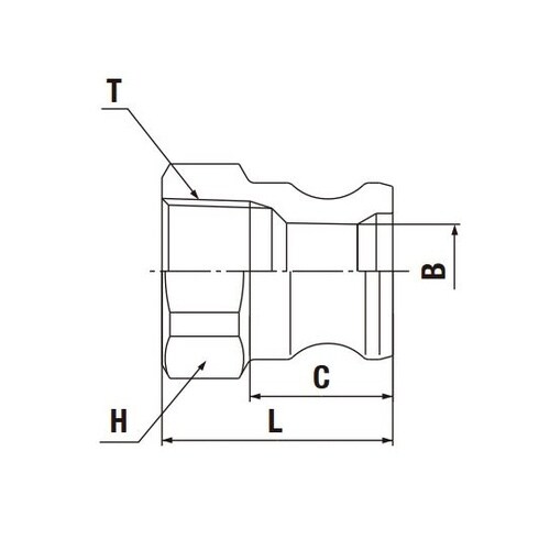 ���o�[���b�N�J�v���i�v���O�j