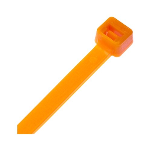 �i�C���������o���h