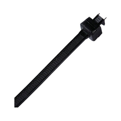 �i�C���������o���h