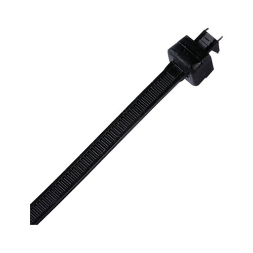 �i�C���������o���h