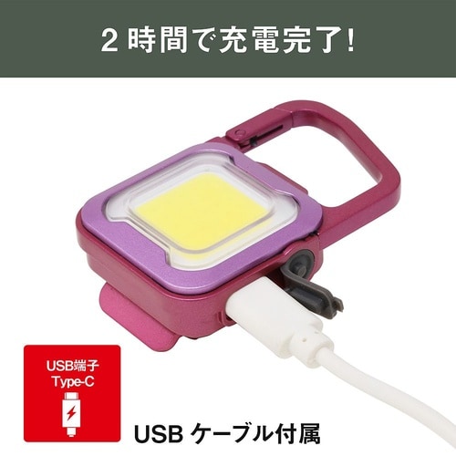 充電式 ぴかり MINI LIGHT
