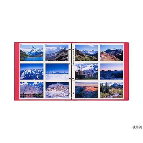 ���|�[�g�A���o���@�k