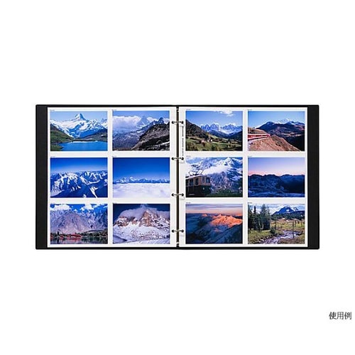 ���|�[�g�A���o���@�k