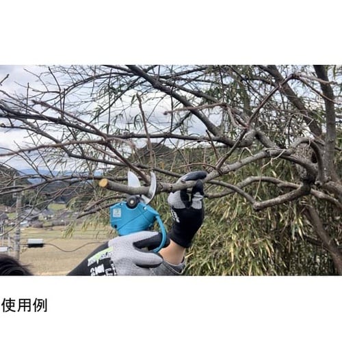 ���}�؂����Y