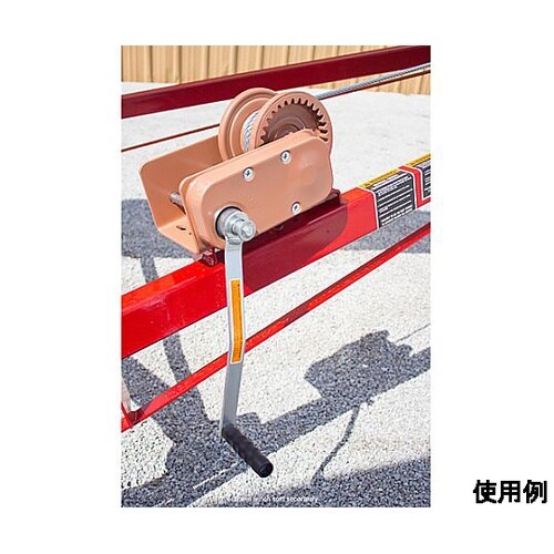 ���C���[